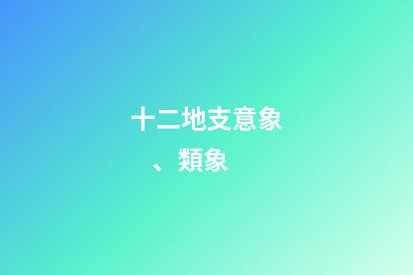 十二地支意象、類象